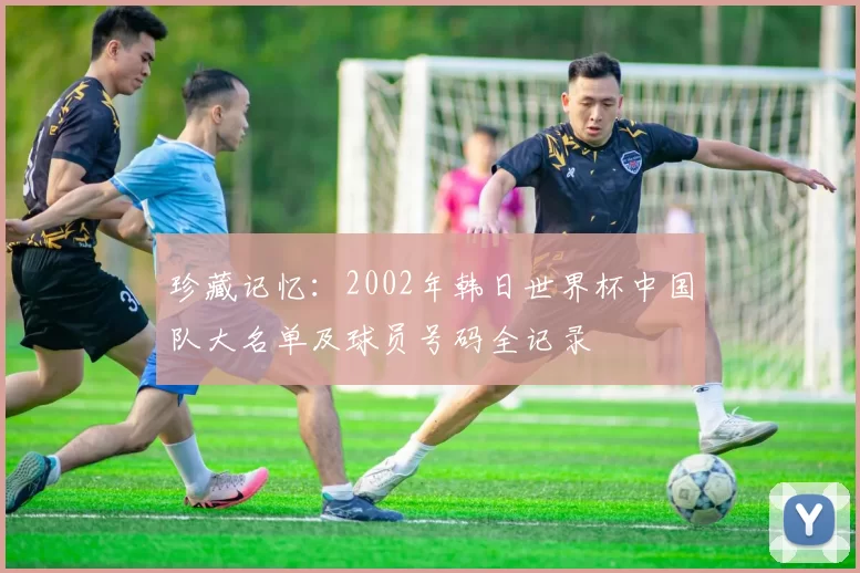 珍藏记忆：2002年韩日世界杯中国队大名单及球员号码全记录