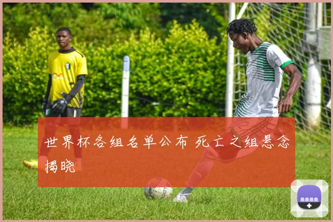 世界杯各组名单公布 死亡之组悬念揭晓
