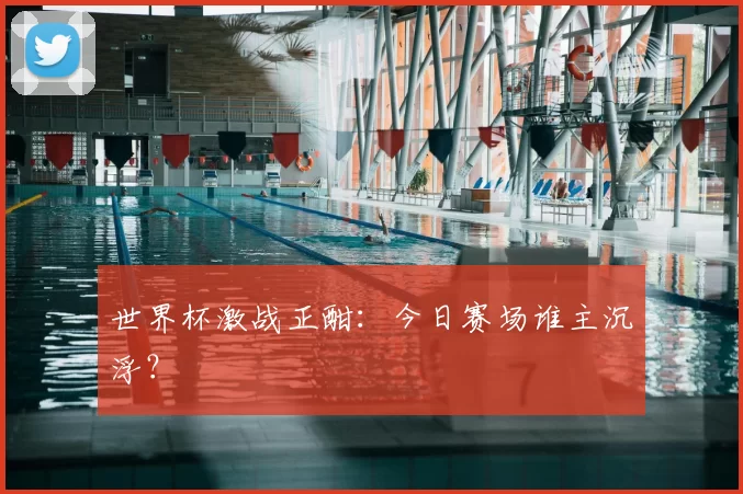 世界杯激战正酣:今日赛场谁主沉浮?