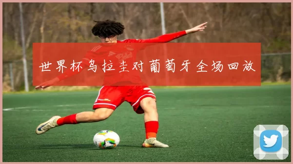 世界杯乌拉圭对葡萄牙全场回放