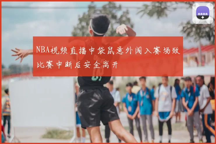 NBA视频直播中袋鼠意外闯入赛场致比赛中断后安全离开