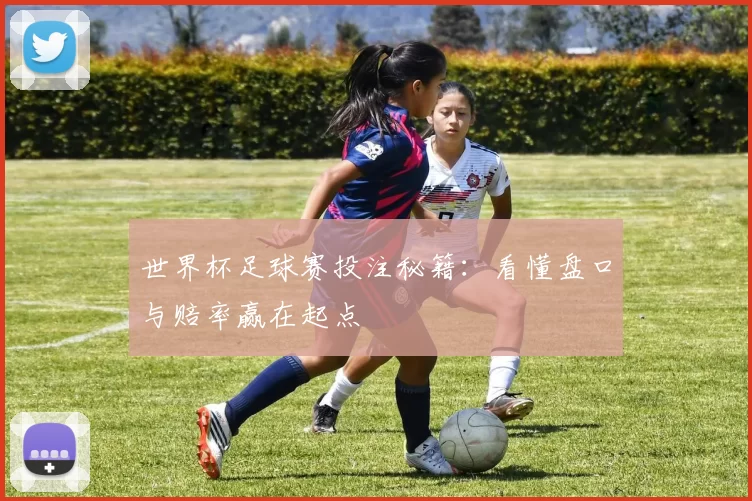 世界杯足球赛投注秘籍：看懂盘口与赔率赢在起点