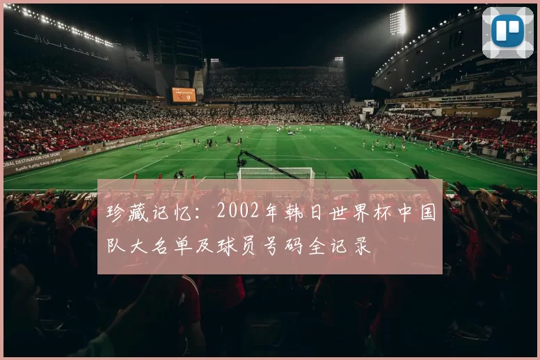 珍藏记忆：2002年韩日世界杯中国队大名单及球员号码全记录