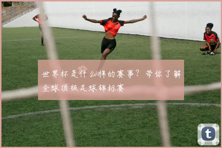 世界杯是什么样的赛事？带你了解全球顶级足球锦标赛