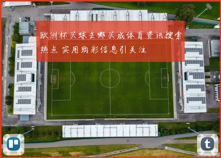 欧洲杯买球去哪买成体育资讯搜索热点 实用购彩信息引关注