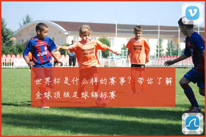 世界杯是什么样的赛事？带你了解全球顶级足球锦标赛