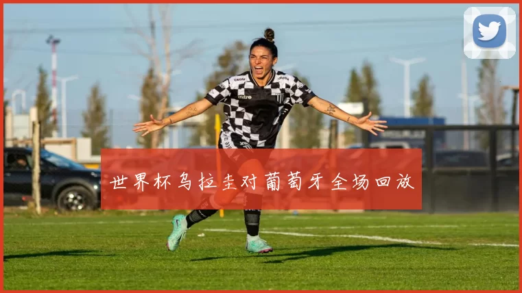世界杯乌拉圭对葡萄牙全场回放